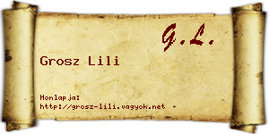 Grosz Lili névjegykártya